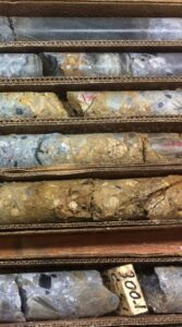 Sections of drill core arranged in a core tray.