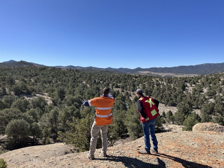 Two field workers overlook the wooded hills around Goldwedge.